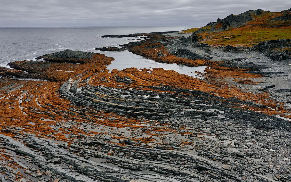 Exposed coastal rock strata illustrating complex ground conditions